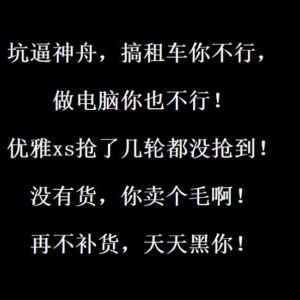 因对抢购规则不满 神舟电脑官网昨日被黑