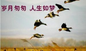 人生如梦，岁月无情。