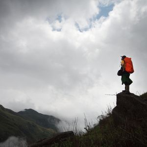 人生本就不差风雨，就别再为己徒增伤悲。